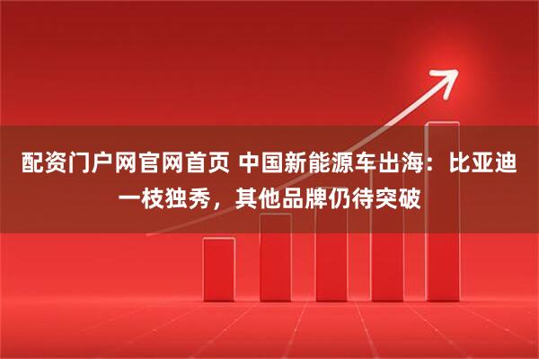 配资门户网官网首页 中国新能源车出海：比亚迪一枝独秀，其他品牌仍待突破