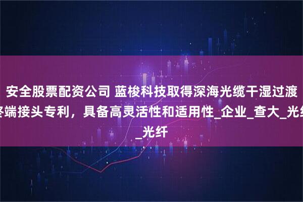 安全股票配资公司 蓝梭科技取得深海光缆干湿过渡终端接头专利，具备高灵活性和适用性_企业_查大_光纤